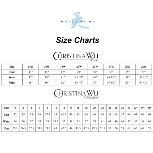 SALE NWT Christina Wu Elegance 20176 Lace Mother of the Bride Dress Cream Size 8 - Picture 7 of 9